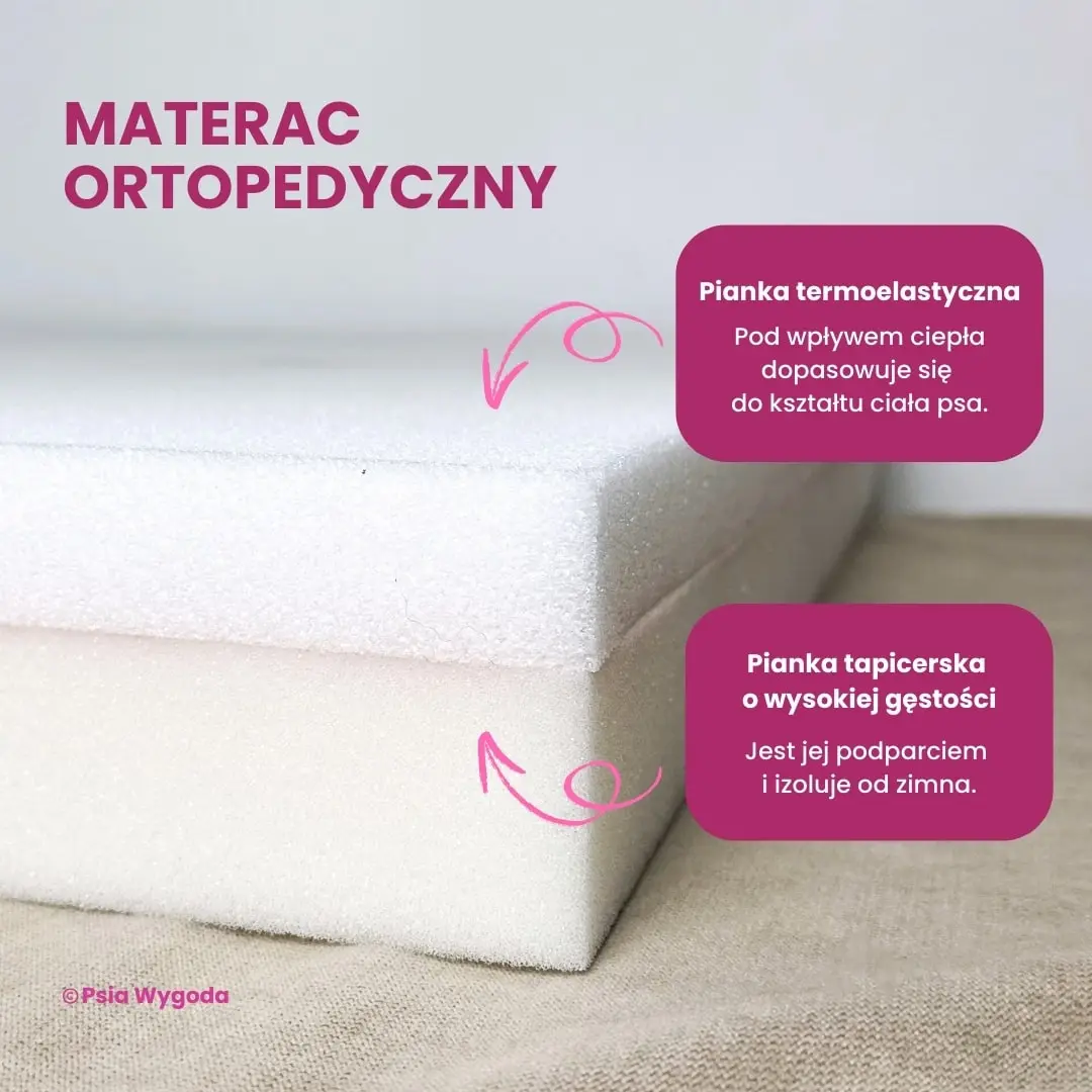 MATERAC ORTOPEDYCZNY DLA PSA - obrazek 2
