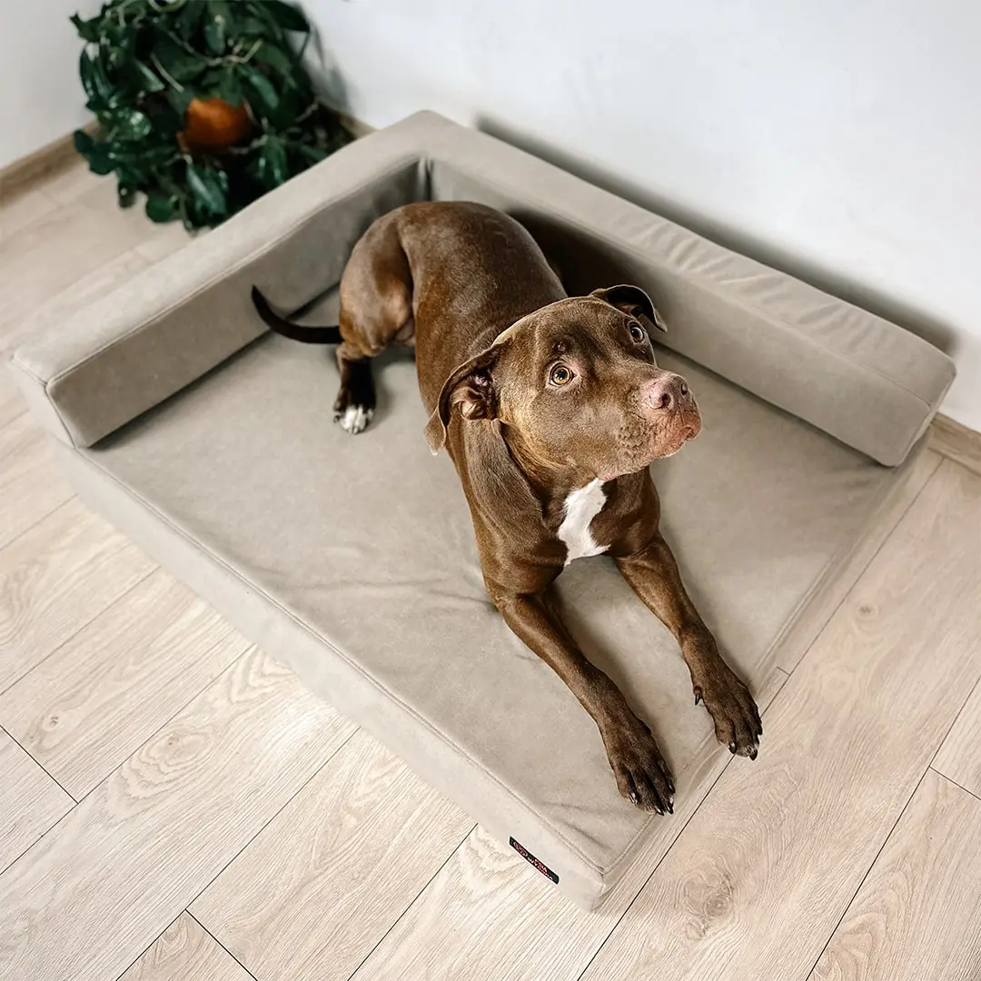POKROWIEC NA SOFA DLA PSA ORTO PLUS NA WYMIAR
