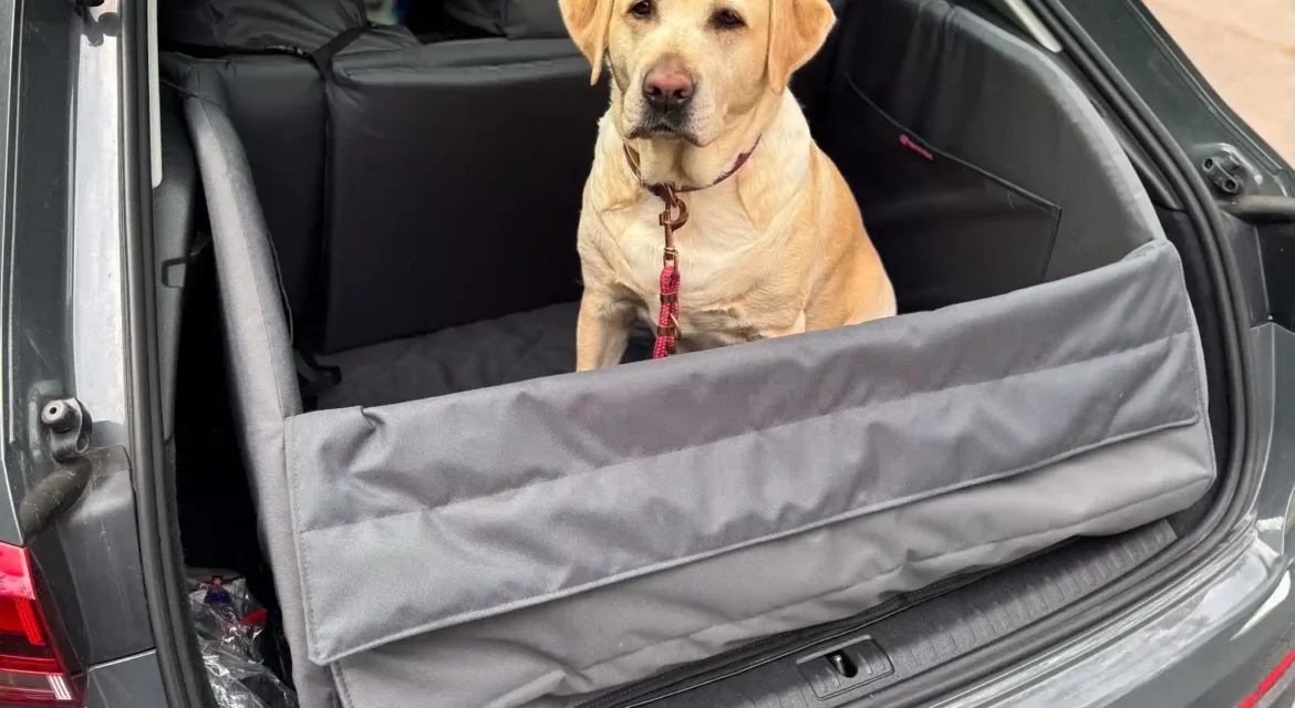 labrador siedzący na macie do bagażnika marki Psia Wygoda