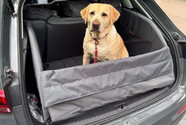 labrador siedzący na macie do bagażnika marki Psia Wygoda