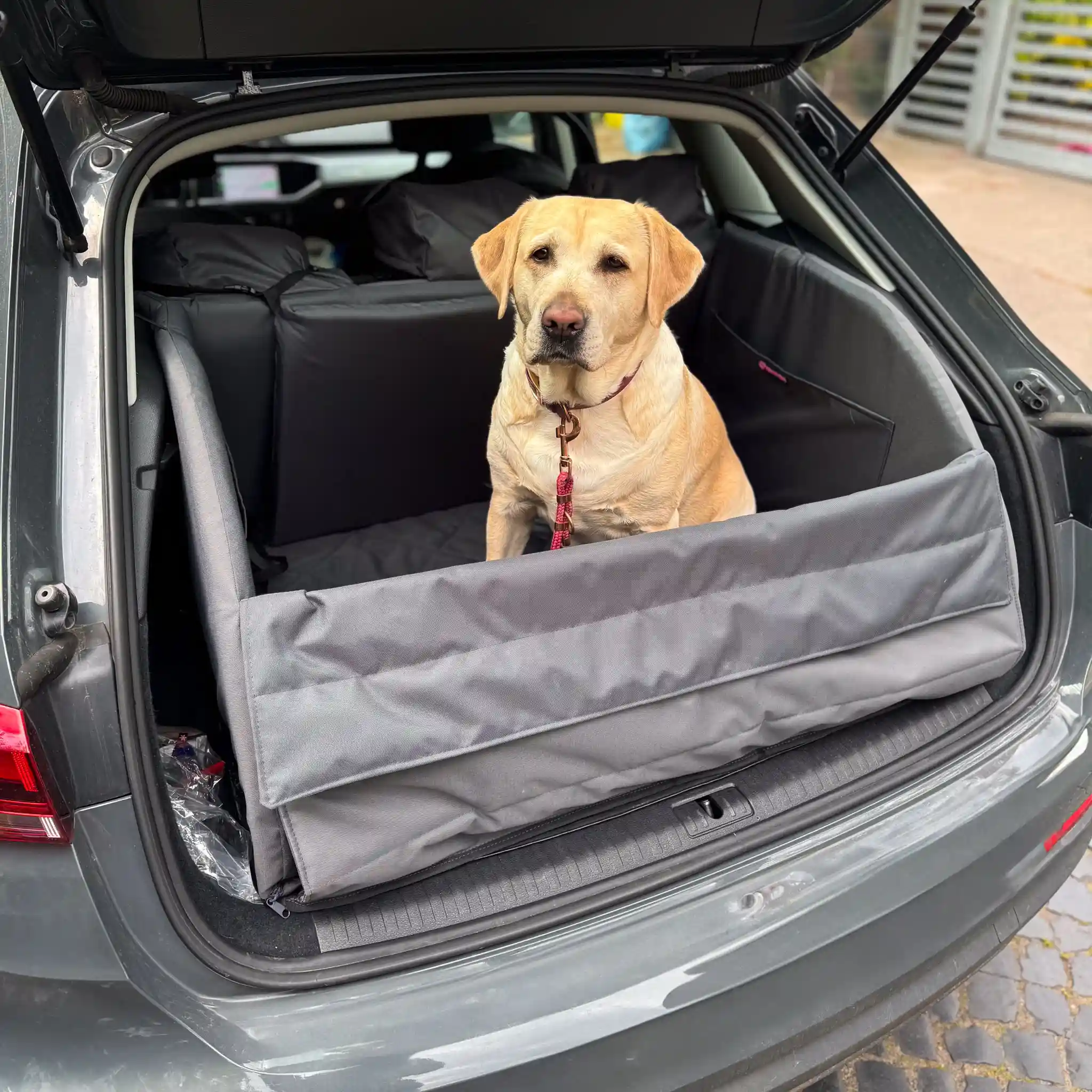 labrador siedzący na macie do bagażnika marki Psia Wygoda