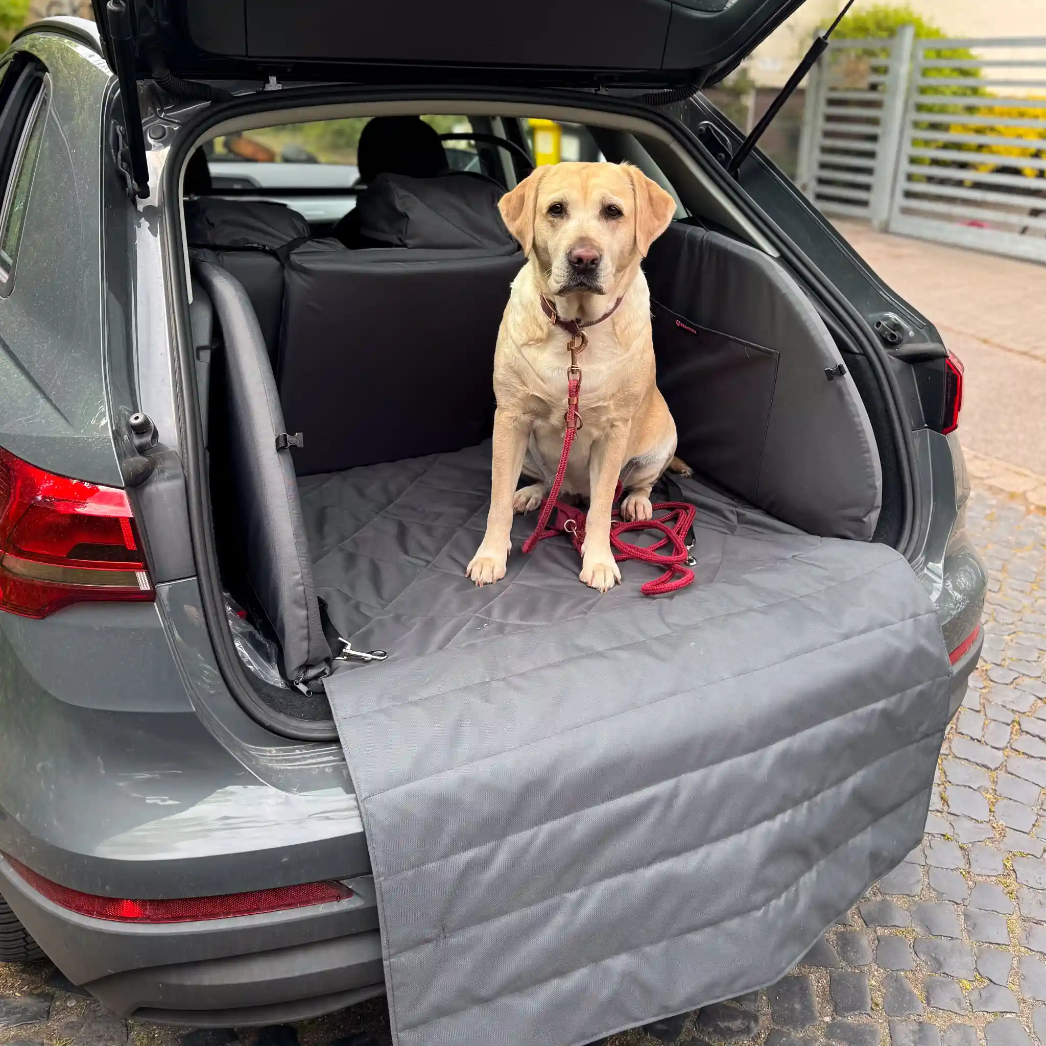 labrador siedzący na szarej macie do bagażnika marki Psia Wygoda