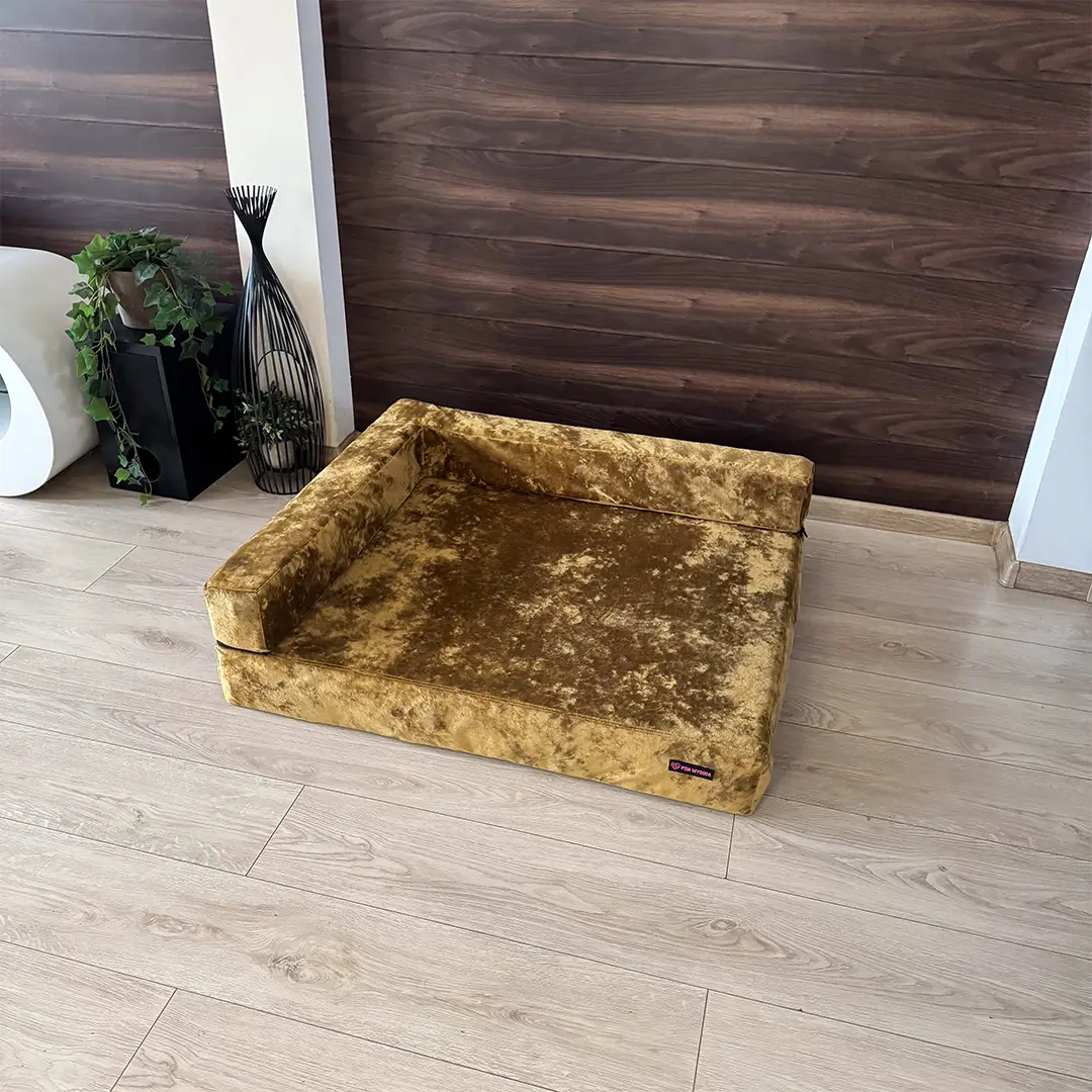 złota, welurowa sofa orto plus dla psa marki Psia Wygoda w salonie