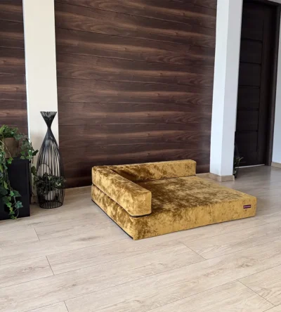 welurowa, złota sofa ortopedyczna dla psa marki Psia Wygoda w salonie