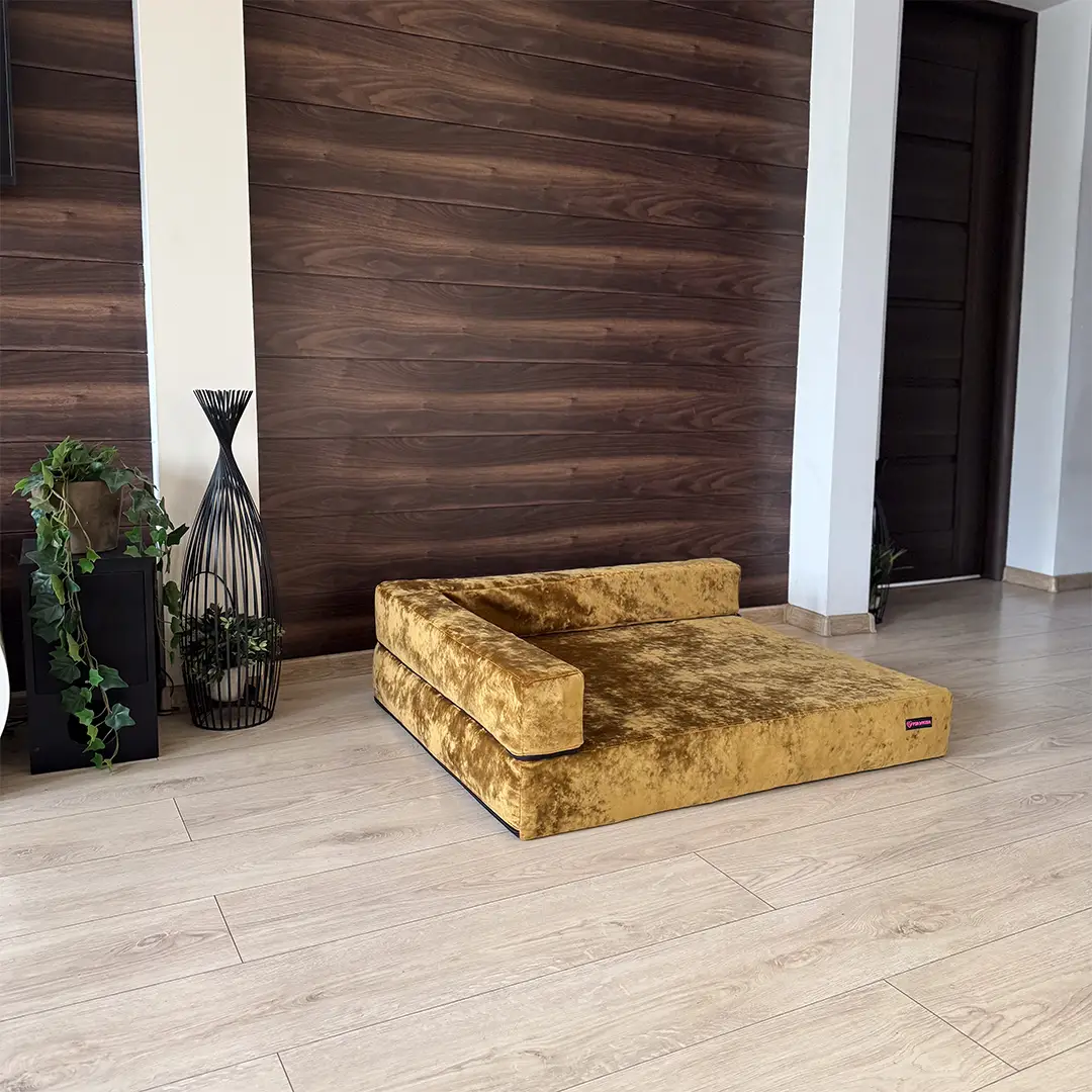 welurowa, złota sofa ortopedyczna dla psa marki Psia Wygoda w salonie